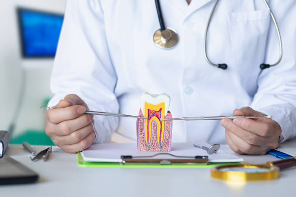 Best Mobile Emergency Dentist in Zephyrhills South, FL